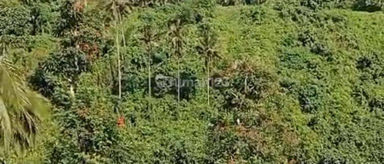 Land for rent located in Ubud Gianyar Bali 1