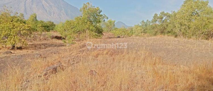 Dijual tanah view gunung agung lokasi desa suka dana kubu 1