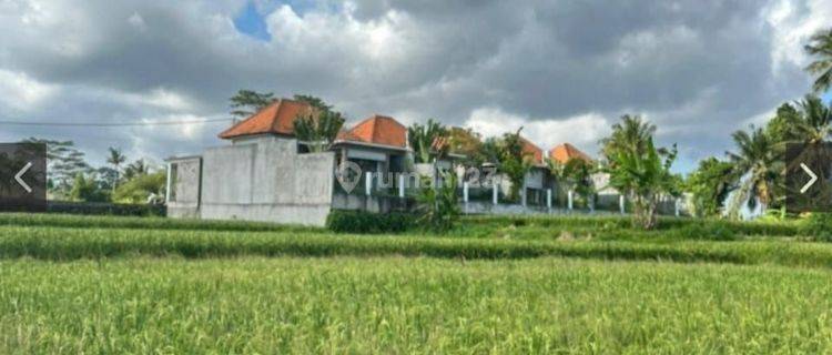 Disewakan tanah lokasi lodtunduh ubud gianyar 1