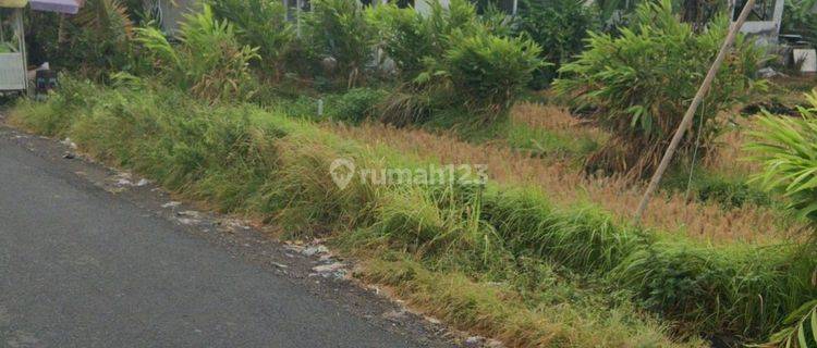 Land For Rent On Jalan Mudutaki Gatsu West North Kuta 1