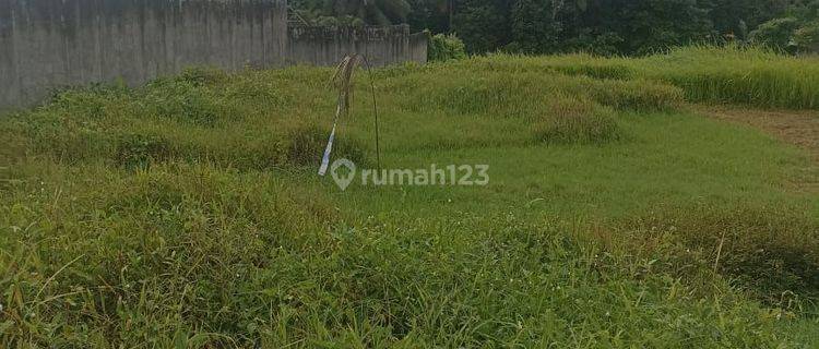 Land for rent in Petulu Ubud Gianyar Bali 1