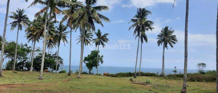 Dijual tanah los pantai lokasi cupel negare jembrana 1