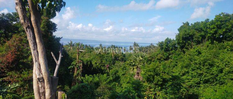 Land for sale near the beach, padang bai karangasem 1