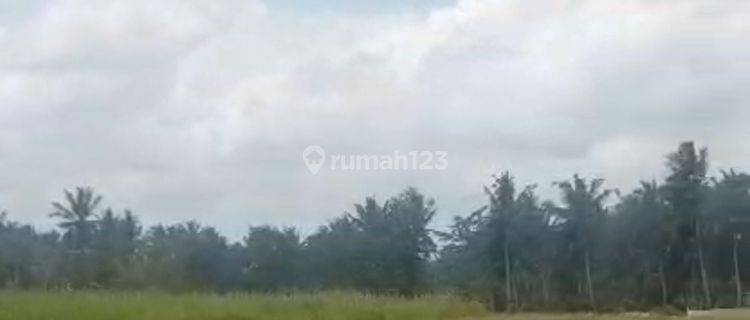 Land for rent with a view of rice paddies located at Lodtunduh Ubud Gianyar Bali 1