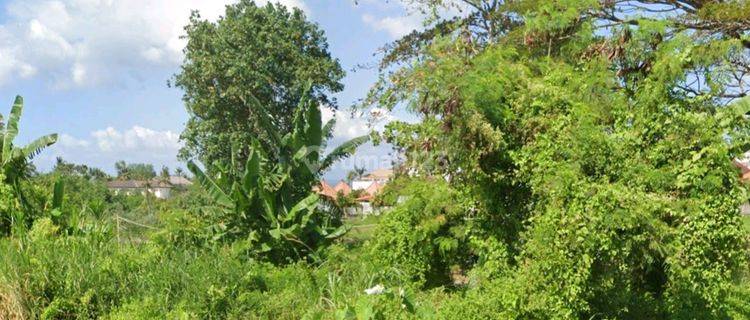 Dijual Tanah Jalan Utama Lokasi Pantai Seseh Mengwi Badung Bali 1