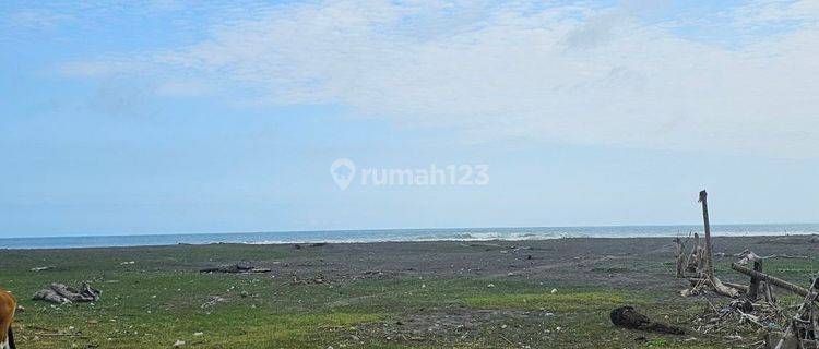 Land for sale at the beach in Mendoyo, Jembrana 1