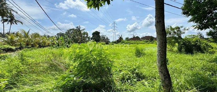 Disewakan Tanah Lokasi Lodtunduh Ubud Gianyar Bali 1