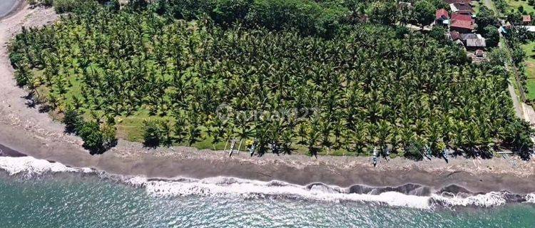 Land for sale at the beach in Melaya, Jembrana, Bali 1