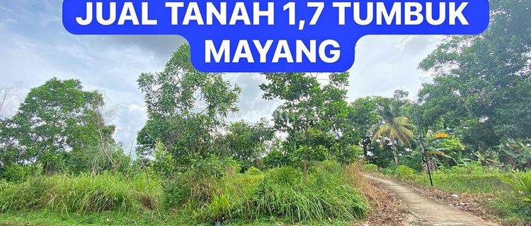 Jual Tanah Mayang Mangurai Dekat Rs. Abdul Manaf 1