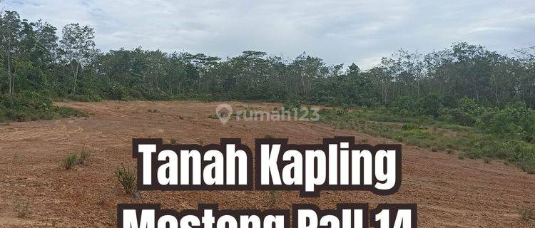 Jual Tanah Mestong Pal 14 Dekat Exit Tol Jambi 1