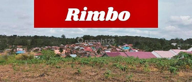 Tanah Kapling Murah Simpang Rimbo Kota Jambi 1