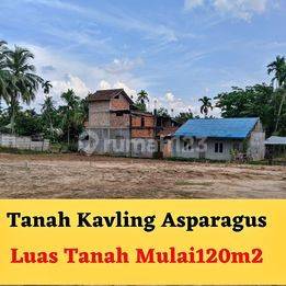 Tanah Asparagus Kota Jambi Ukuran 130 m² 1