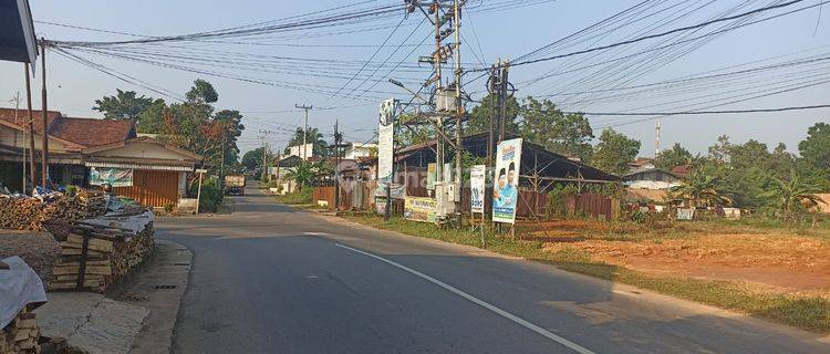 Tanah Kosong Purnama Kota Baru 1,2 Tumbuk 1