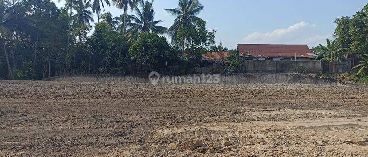 Jual Tanah Murah Kebun Handil Jelutung Kota Jambi 1