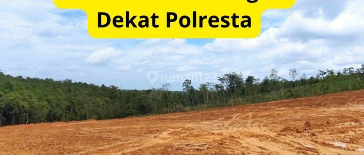 Jual Tanah Tepi Jalan As Sengeti Km. 31  1