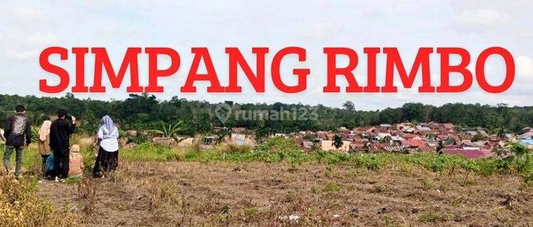 Jual Tanah Murah Simpang Rimbo Dekat Kampung Rajo 1