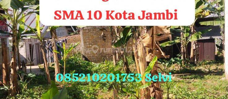 Jual Tanah Murah Tengah Kota Jambi Telanai Pura 1