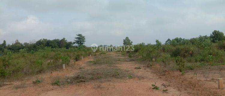 Jual Cepat Tanah di Kebun 9 Surat SHM 15 Jutaan 1