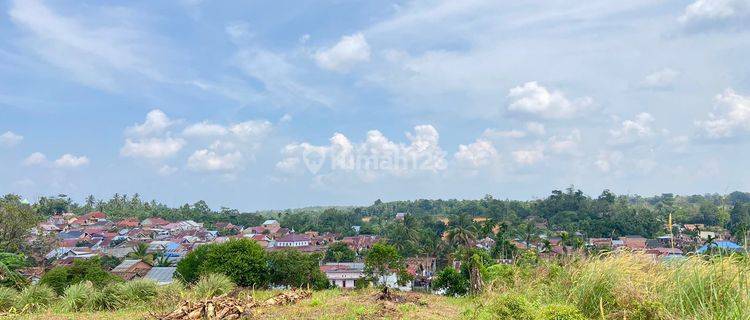 Kaplingan Murah Tanah Simpang Rimbo Dekat Kampoeng Radja 1