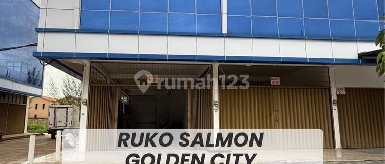 For rent 2 units Salmon Golden Bci Bengkong shophouses. 1