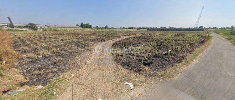 Tanah Kavling Industri Di Nganjuk, Jawa Timur 1