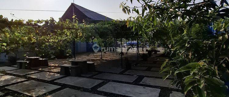 Dijual Cepat Tanah Cocok Untuk Usaha Pinggir Jalan Di Ciangsana. Nego 1