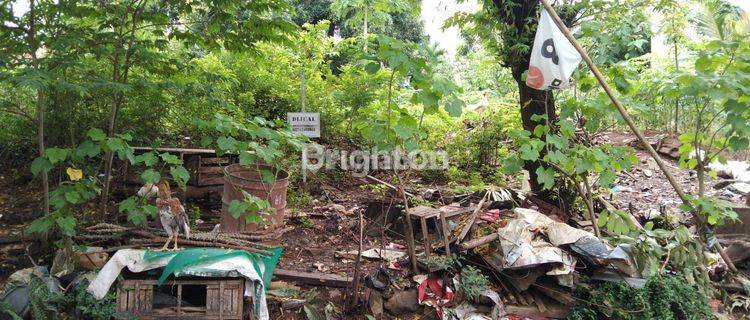 TANAH SIAP BANGUN JALAN KARANG REJO TLAGA BODAS SEMARANG 1