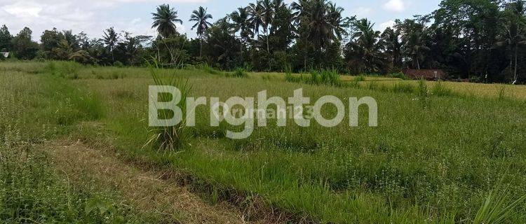 AFFORDABLE LAND  PRIME LOCATION IN PEJENG UBUD BALI 1