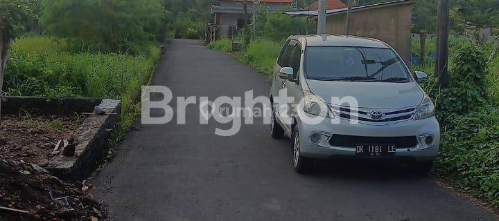 Di Jual Tanah Murah Lokasi Premium Buruan Blahbatuh 1