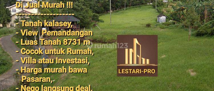 Di Jual Cepat dan Murah, Tanah Kalasey luas 8731 m, Harga murah bawa Pasaran 1