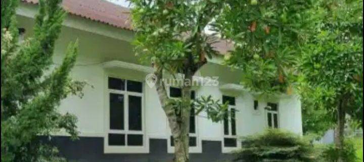 DivJual cepat dan murah, Rumah Mewah, hunian ekslusif Citraland 1