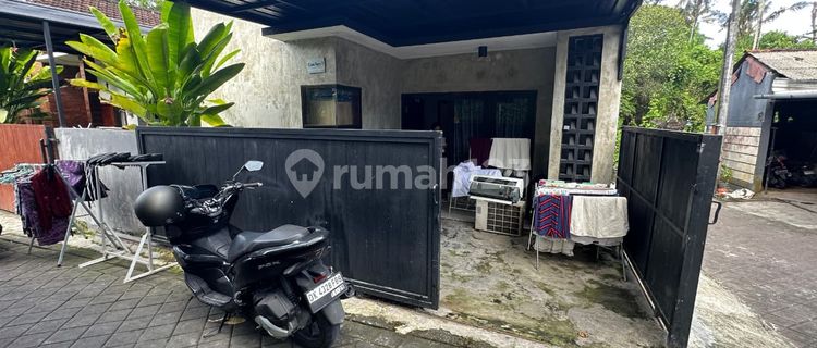 Minimalist Modern House Ready for Occupancy Located in the Buduk Area 1