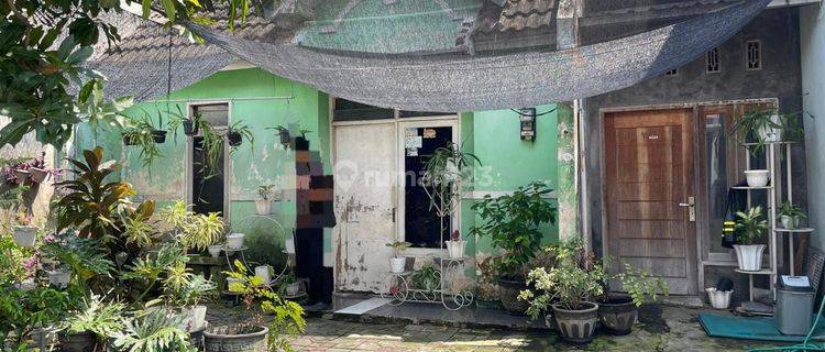 Lelang Rumah Mojokerto Di Magersari Di Permata Ijen 1