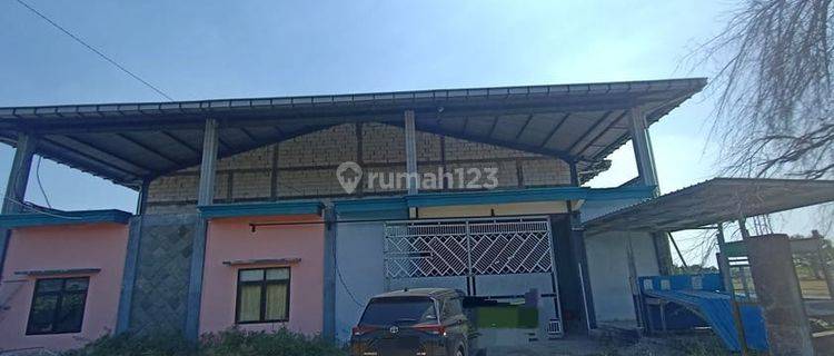 0416.65 Gudang Lelang Lamongan Di Tikung Di Ki Ageng Sindujoyo 1