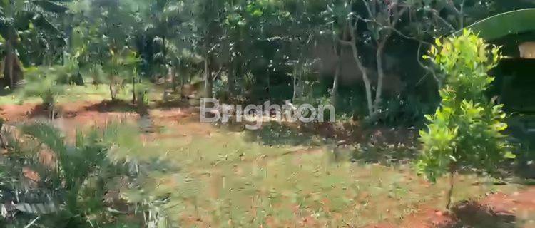 Tanah Dipinggir Jalan Mandor Demong Bekasi Nego sampai Deal 1