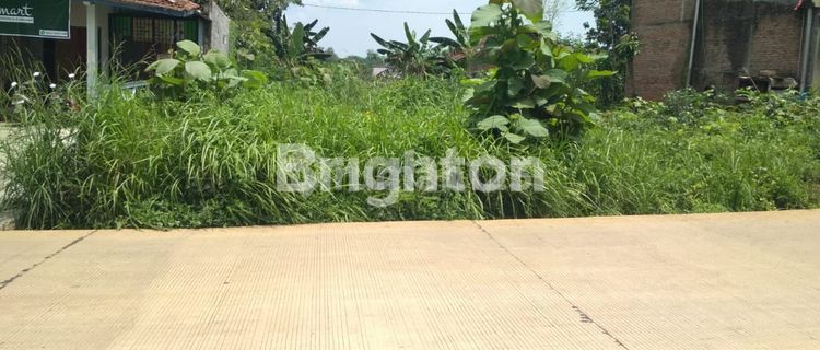 Tanah Kosong Di Jalan Raya Palir - Mangkang 1