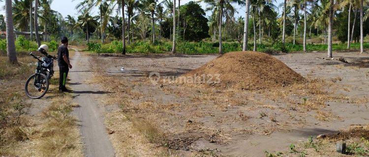 Dijual Tanah Pekarangan Di Pleret, Panjatan, Kulon Progo, Jogja 1