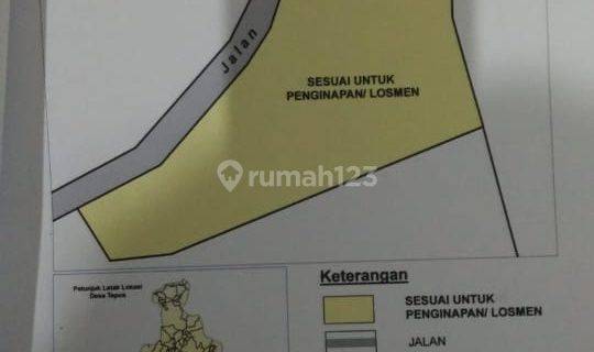 Dijual Tanah Cocok Untuk Bangun Villa, Tepus, Gunung Kidul 1