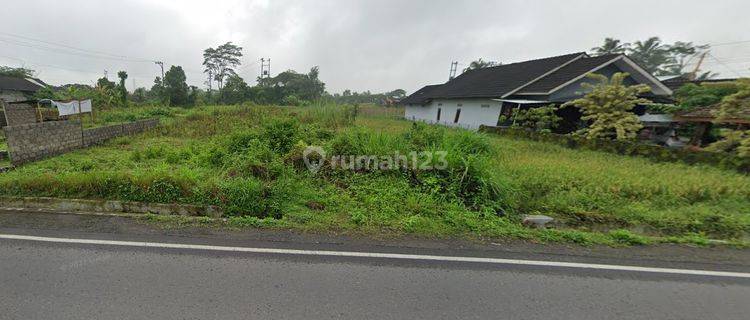 Dijual Tanah Sawah Cocok Untuk Usaha, Kalasan, Sleman, Jogja 1