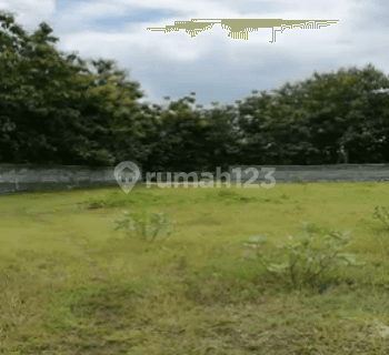 Dijual Tanah Pekarangan Zona Industri, Gunungkidul 1