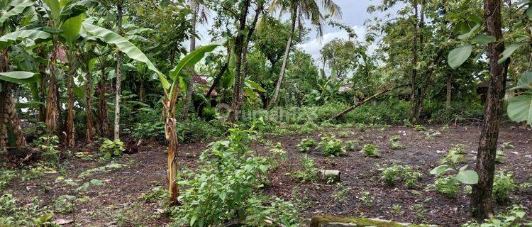 Dijual Tanah Pekarangan Cocok Untuk Rumah Sukoharjo, Jawa Tengah 1