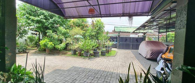 DIJUAL RUMAH LUAS DI KAWASAN KAMPUS, NGENTAK DEPOK, SLEMAN, JOGJA 1