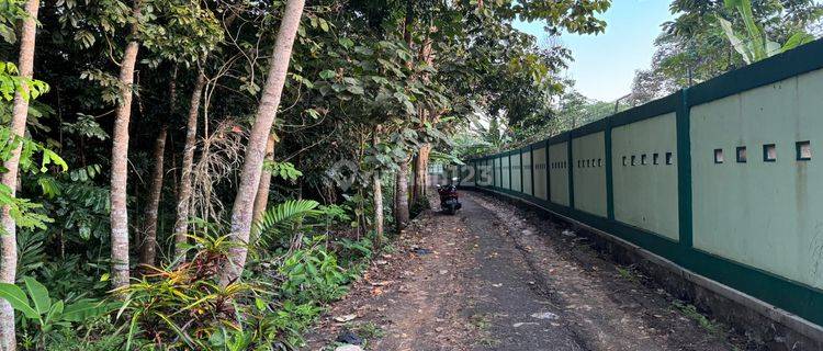 Tanah buat bangun Kost nempel Tembok Unsil 2 1