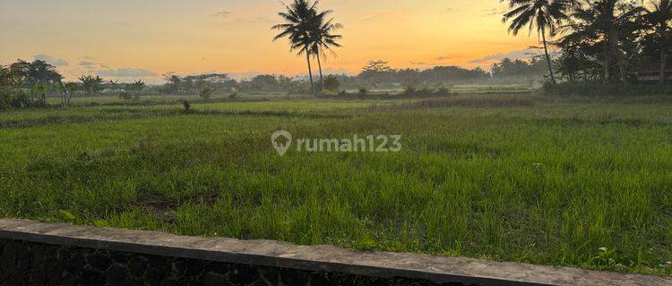 tanah kavling belakang kampus unsil 2 , Tamansari 1