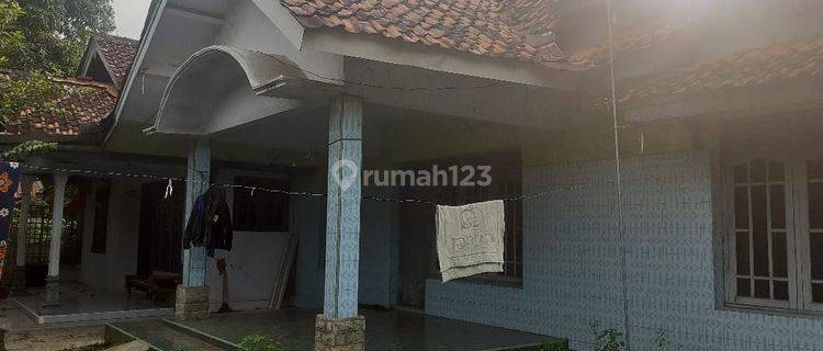 Rumah Besar Tanah Luas Lingkungan Sangat Asri Di Pekalongan 1