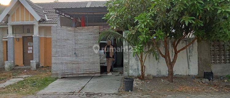 RUMAH PASURUAN ANGGUN SEJAHTERA PASURUAN 90858 1