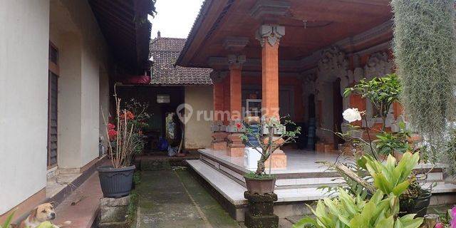 RUMAH BANJAR TEMEN BANGLI 95300 1