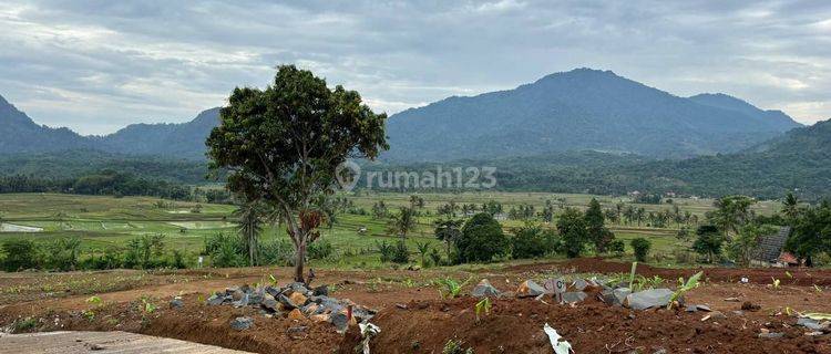 Jual Tanah Kavling Terbaik Dengan View Termegah  1