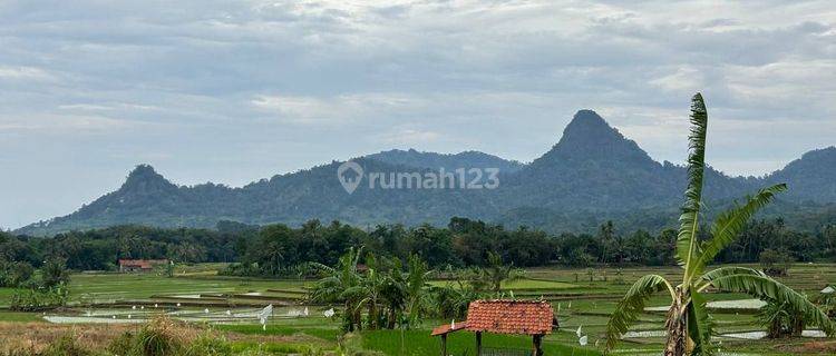 Jual Tanah Kavling Terbaik Dengan Harga Terjangkau Lokasi Strategis  1