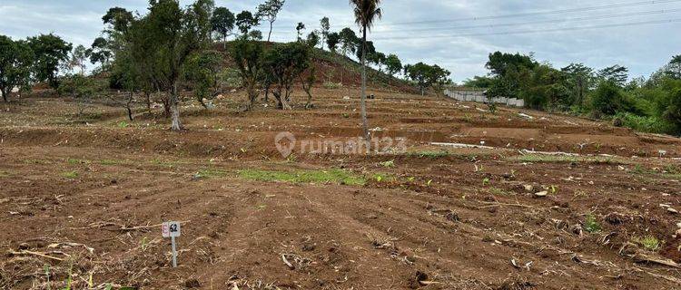 Jual Tanah Kavling Murah Siap Dengan Harga Terjangkau  1